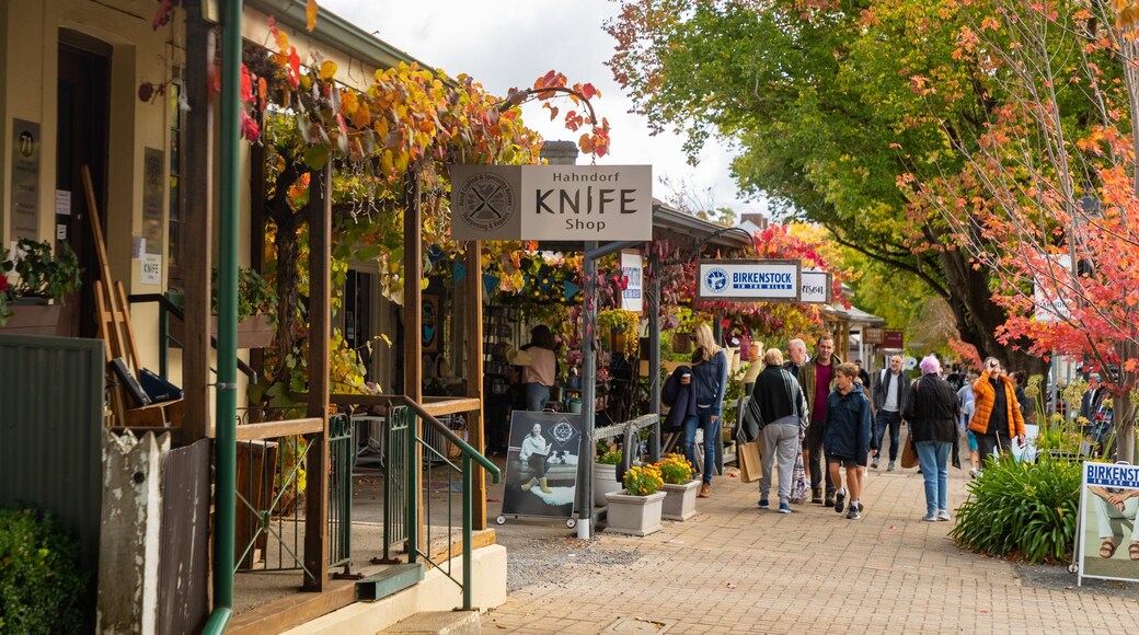 Hahndorf featuring street scenes and signage