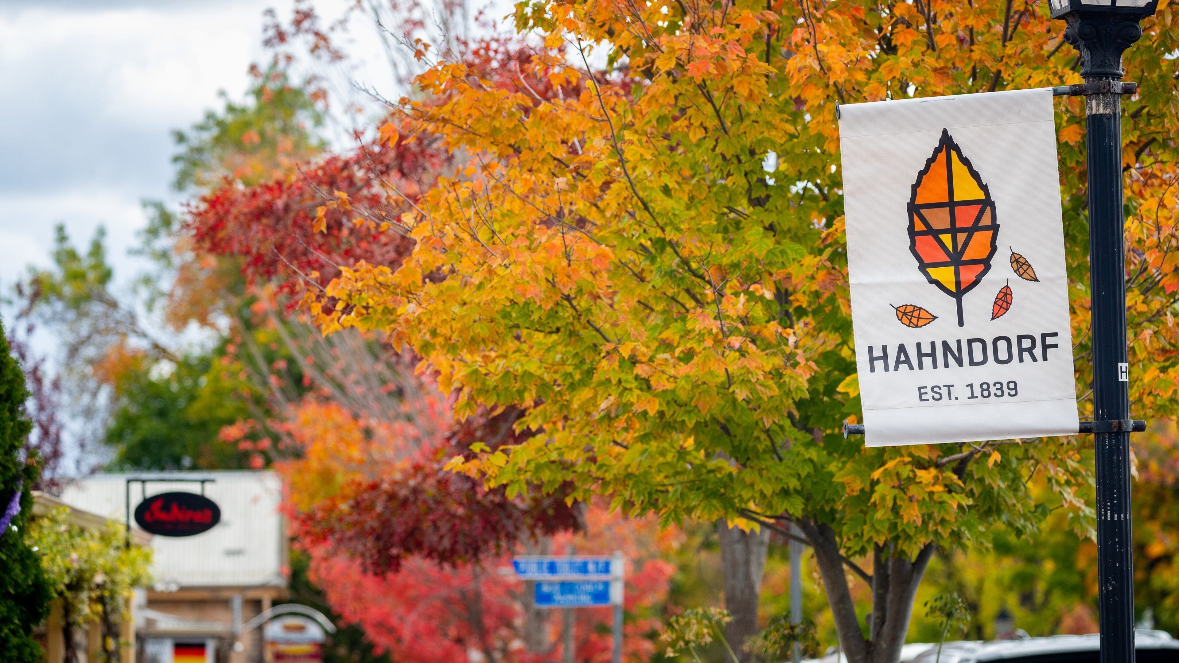 Ein Schild mit einem Blattmuster und dem Text "HAHNDORF EST. 1839" vor einem Hintergrund von herbstlich gefärbten Bäumen.