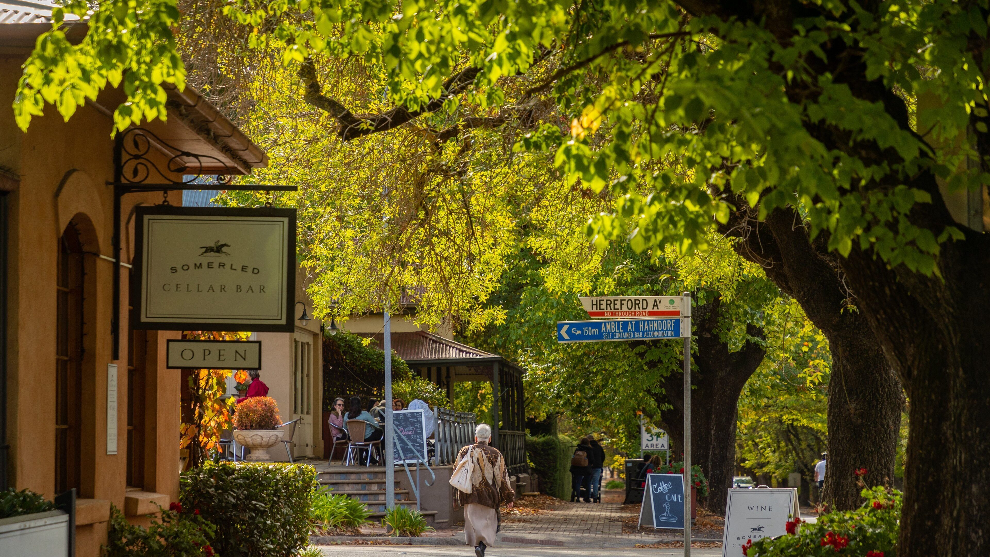 A tree-lined street with a Somerled Cellar Bar sign, a Hereford Ave sign, and a 3rd area sign.