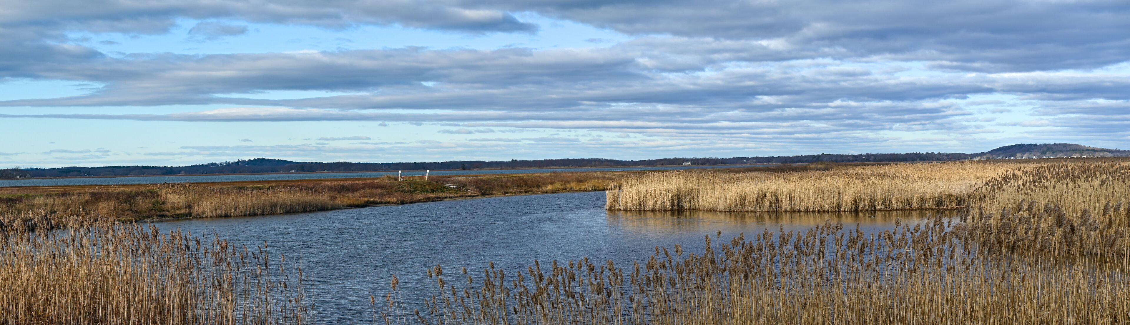A river with tall reeds and a distant hill.