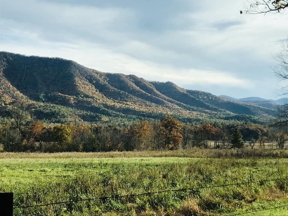 Rolling hills, a grassy field, and a distant mountain range.