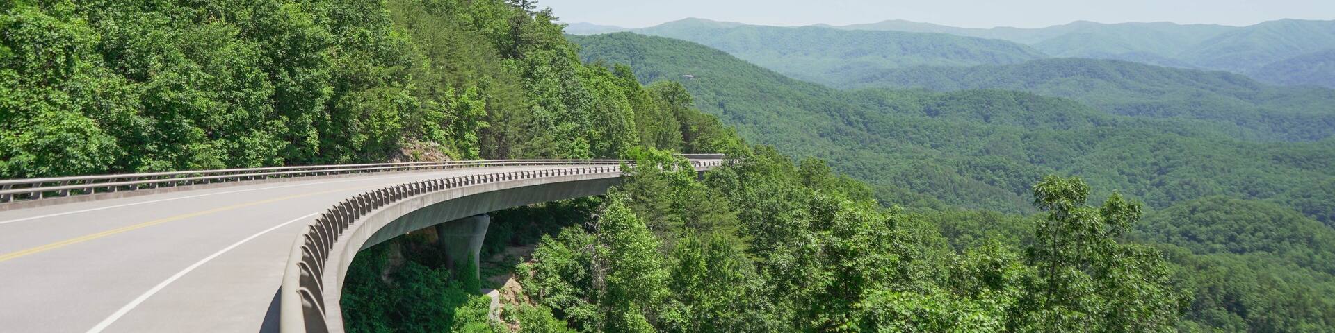 This place never gets old!