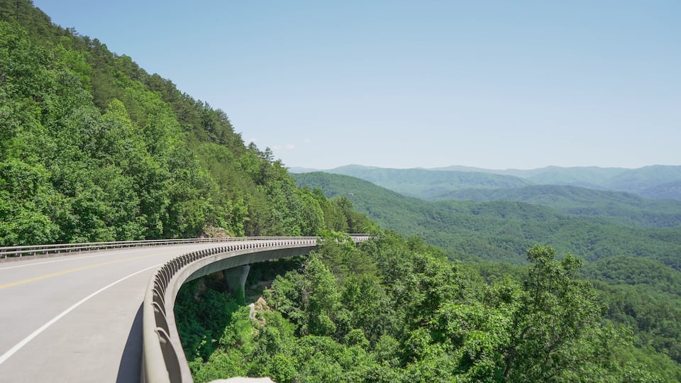 A curving highway with a bridge over a forested mountain.