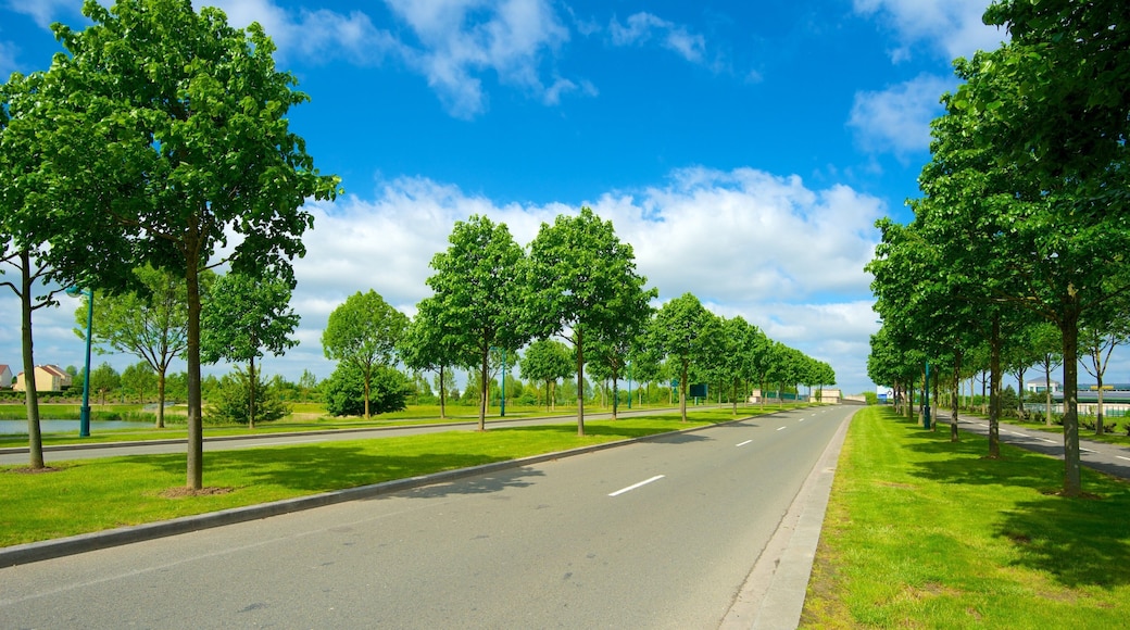 Marne-la-Vallee og byder på gadeliv og skyline