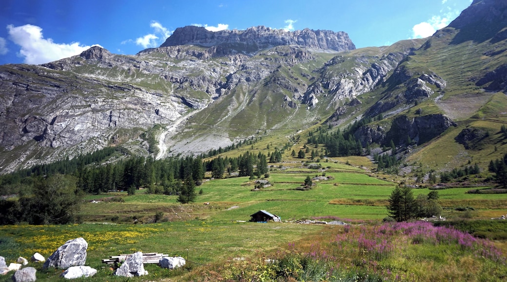 Mountain near Val-d'IsĂšre, France.