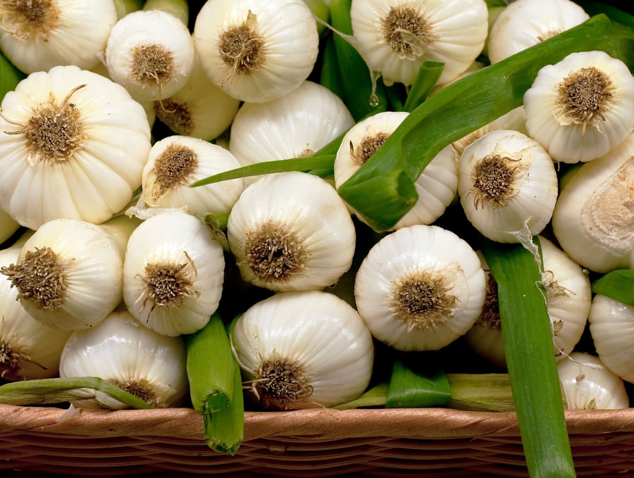 Baby Vidalia Onions