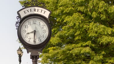 Un reloj con el nombre 'EVERETT', sobre un fondo de árboles verdes.