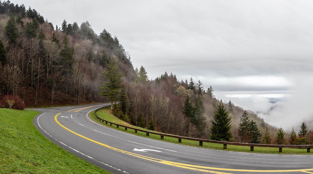 Great Smoky Mountains National Park on a cloudy day in the early spring