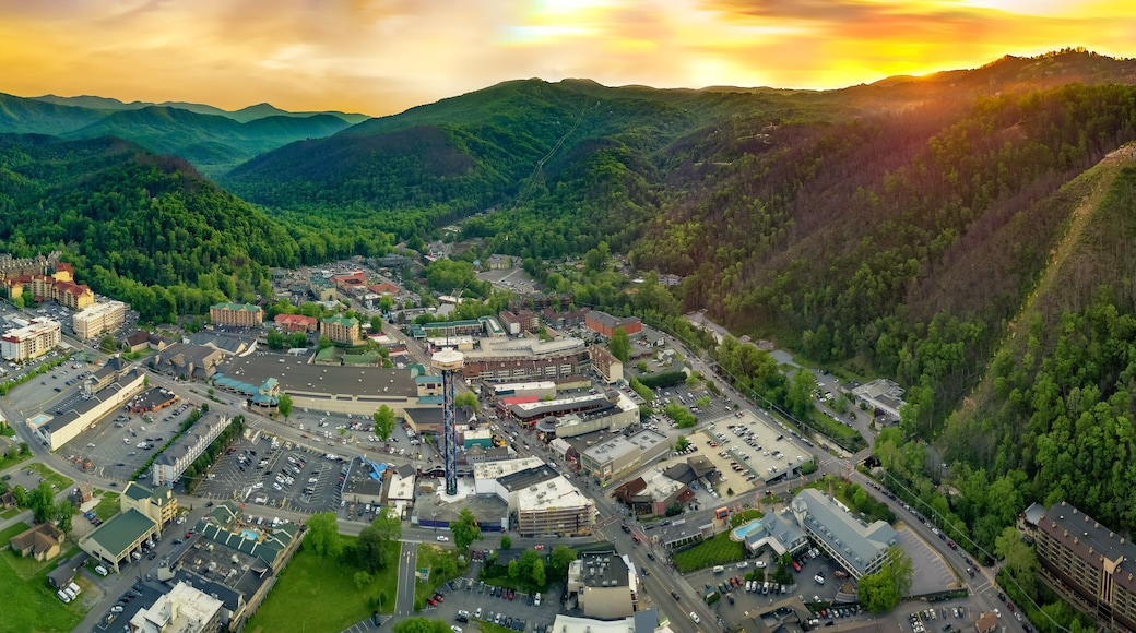 gatling burk city view during day