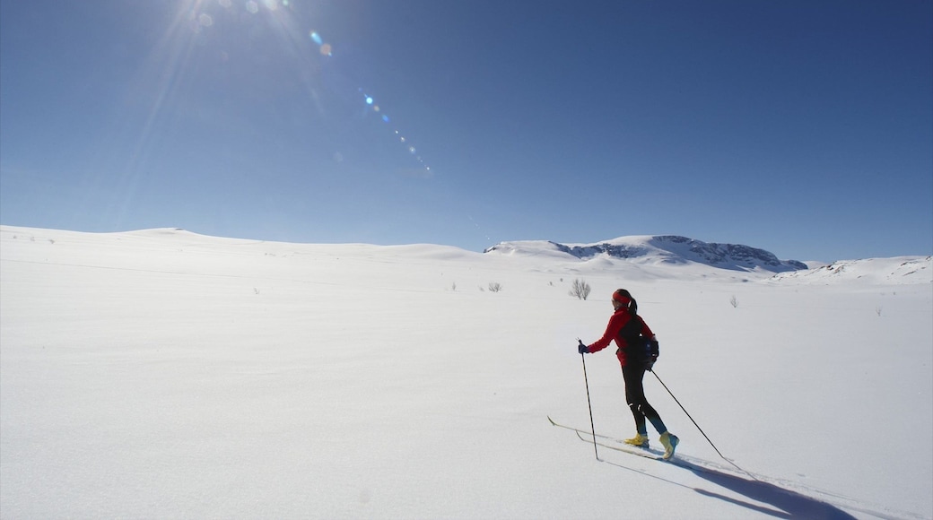 Geilo inclusief sneeuw en langlaufen