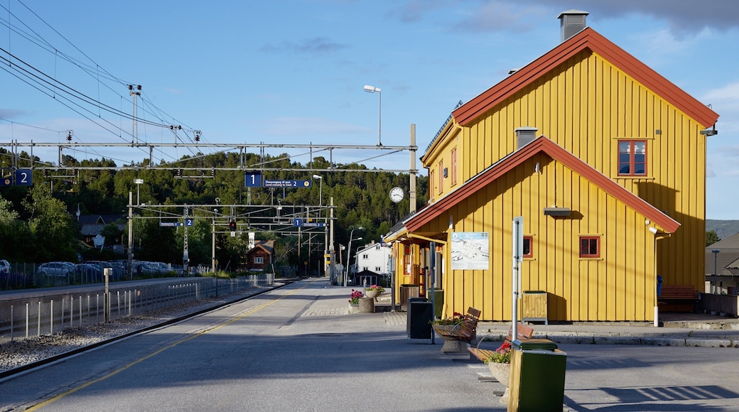 Geilo ofreciendo una pequeña ciudad o pueblo y escenas urbanas