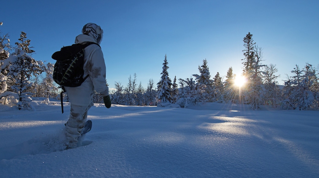 Geilo bevat sneeuwschoenwandelen, sneeuw en een zonsondergang