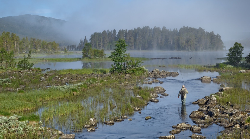 Geilo featuring a river or creek, mist or fog and wetlands