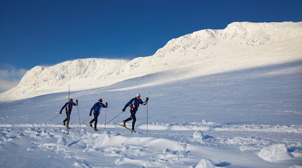 Geilo ofreciendo ski de fondo y nieve y también un pequeño grupo de personas