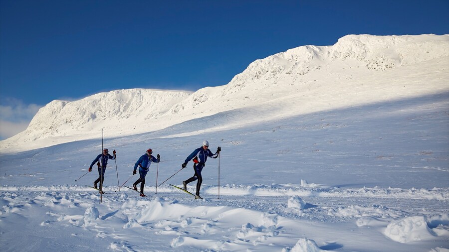 Geilo which includes cross-country skiing and snow as well as a small group of people