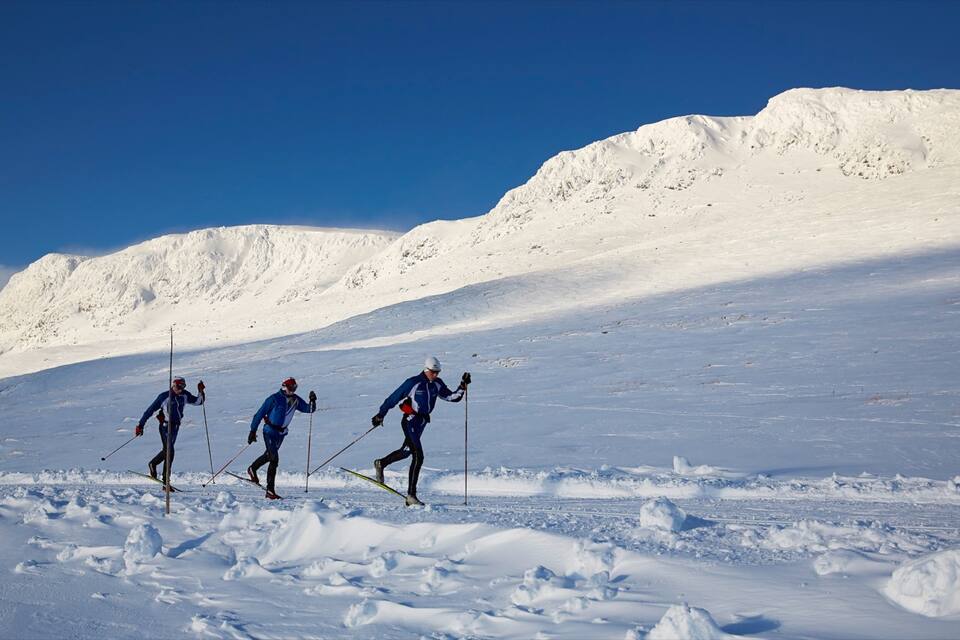 Three skiers on a snowy mountain slope with a clear blue sky.