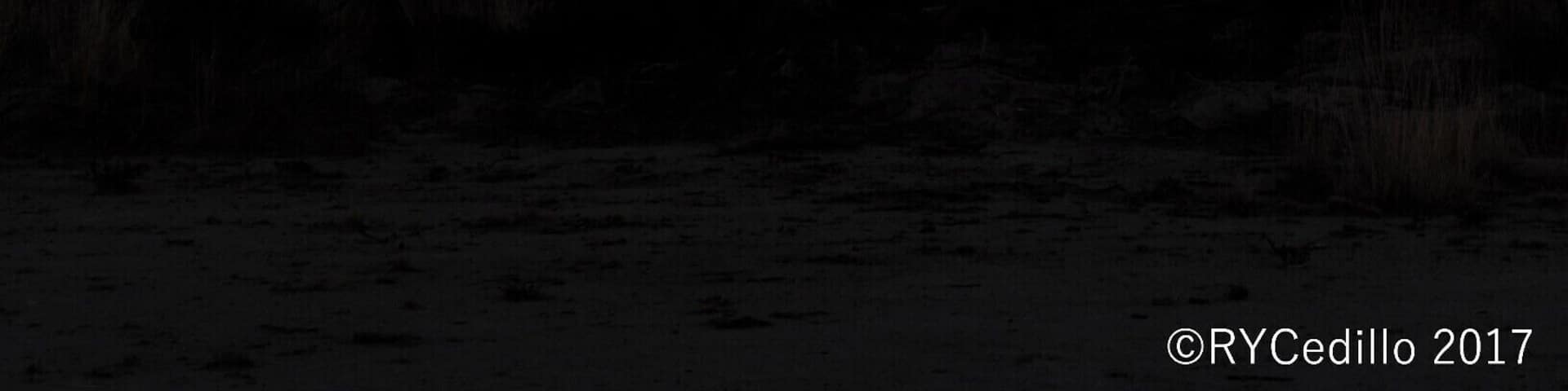 Full moon and a WTX sunset beauty and peace all in one.