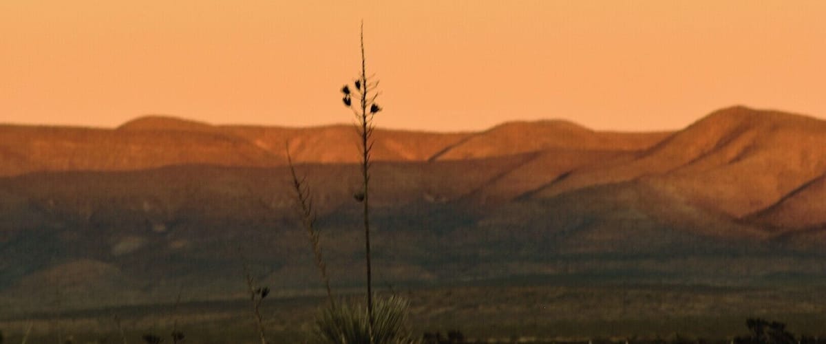 A landscape with a prominent moon in the sky, foreground vegetation, and rolling hills in the distance.