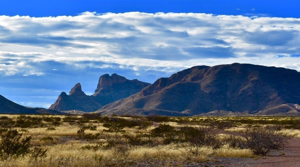 Texas Mountain Trail