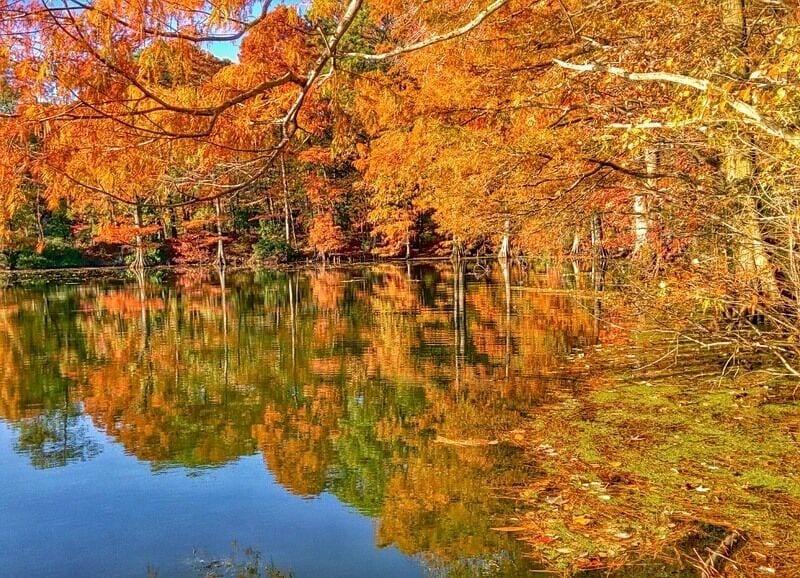 Un lago rodeado de árboles de colores otoñales que se reflejan en el agua.