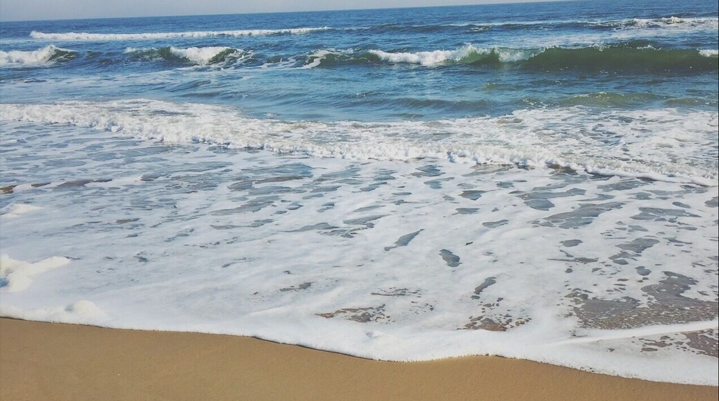 the atlantic ocean.
#beach #ocean #vacation #winter
#virginiabeach