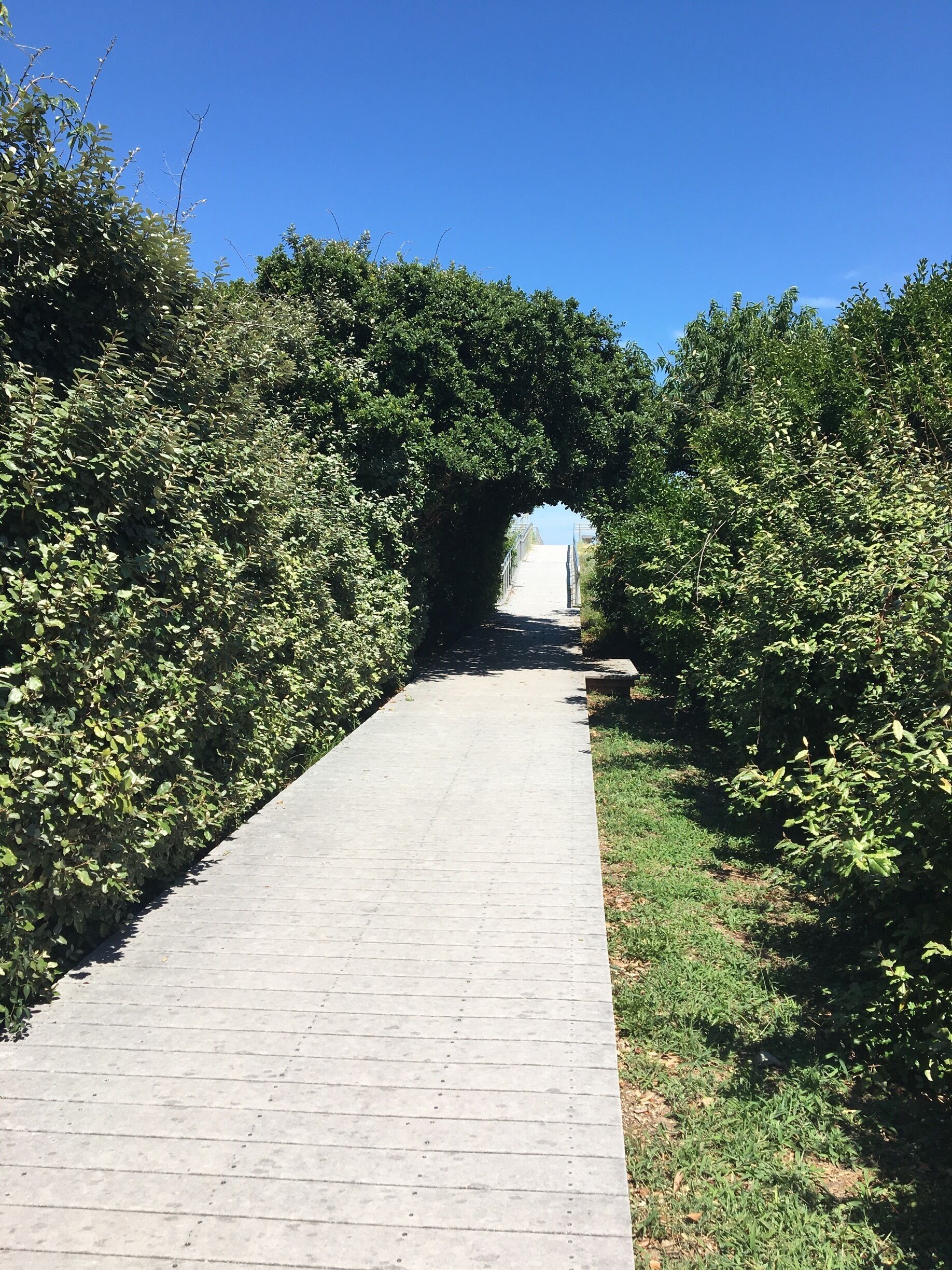 Cool green fences along to the walkway into the beach