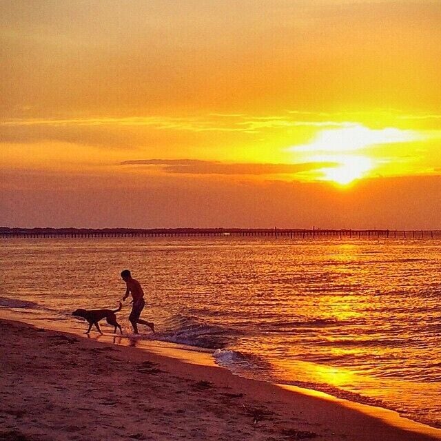 Un coucher de soleil sur une plage, avec une personne et un chien qui se promènent le long du rivage.