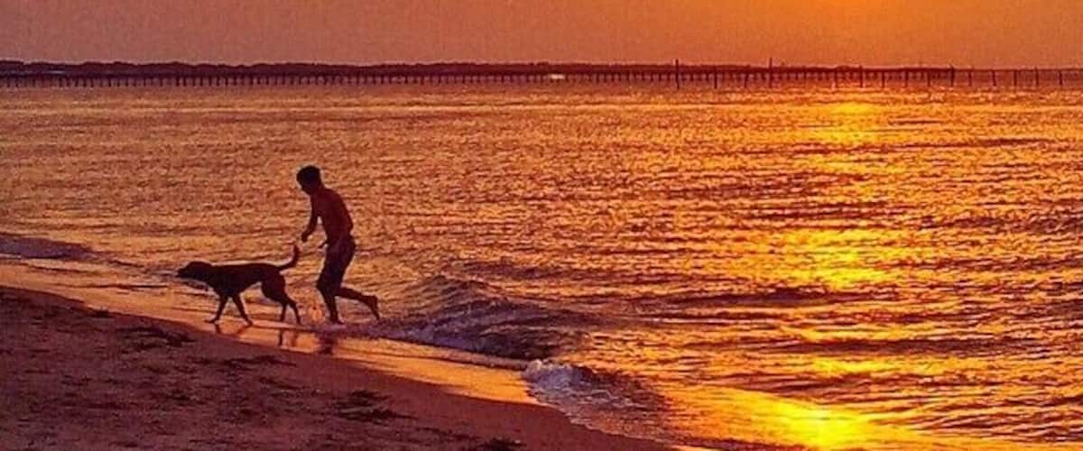 A sunset over a beach with a person and a dog walking along the shore.