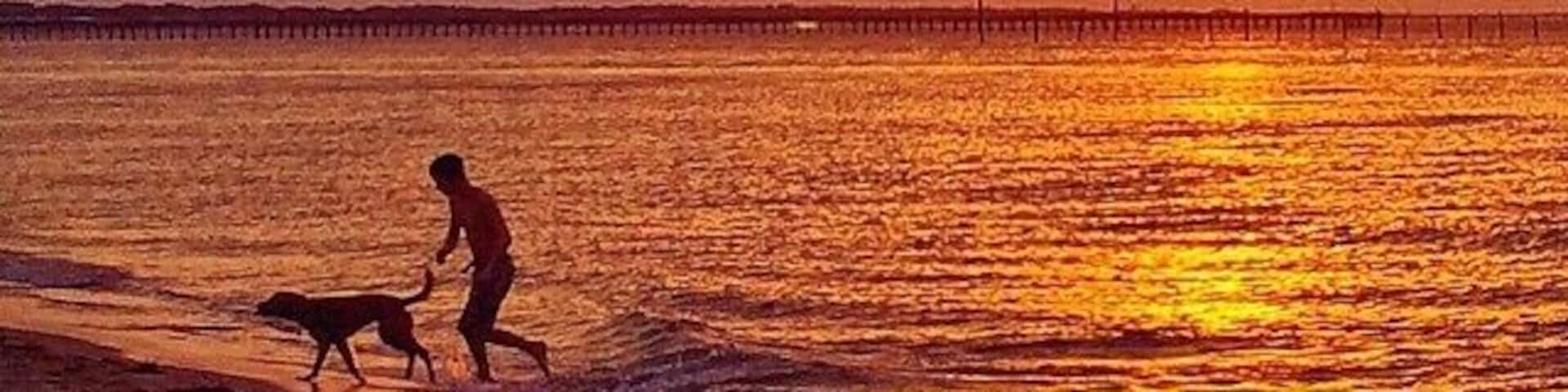 A sunset over a beach with a person and a dog walking along the shore.