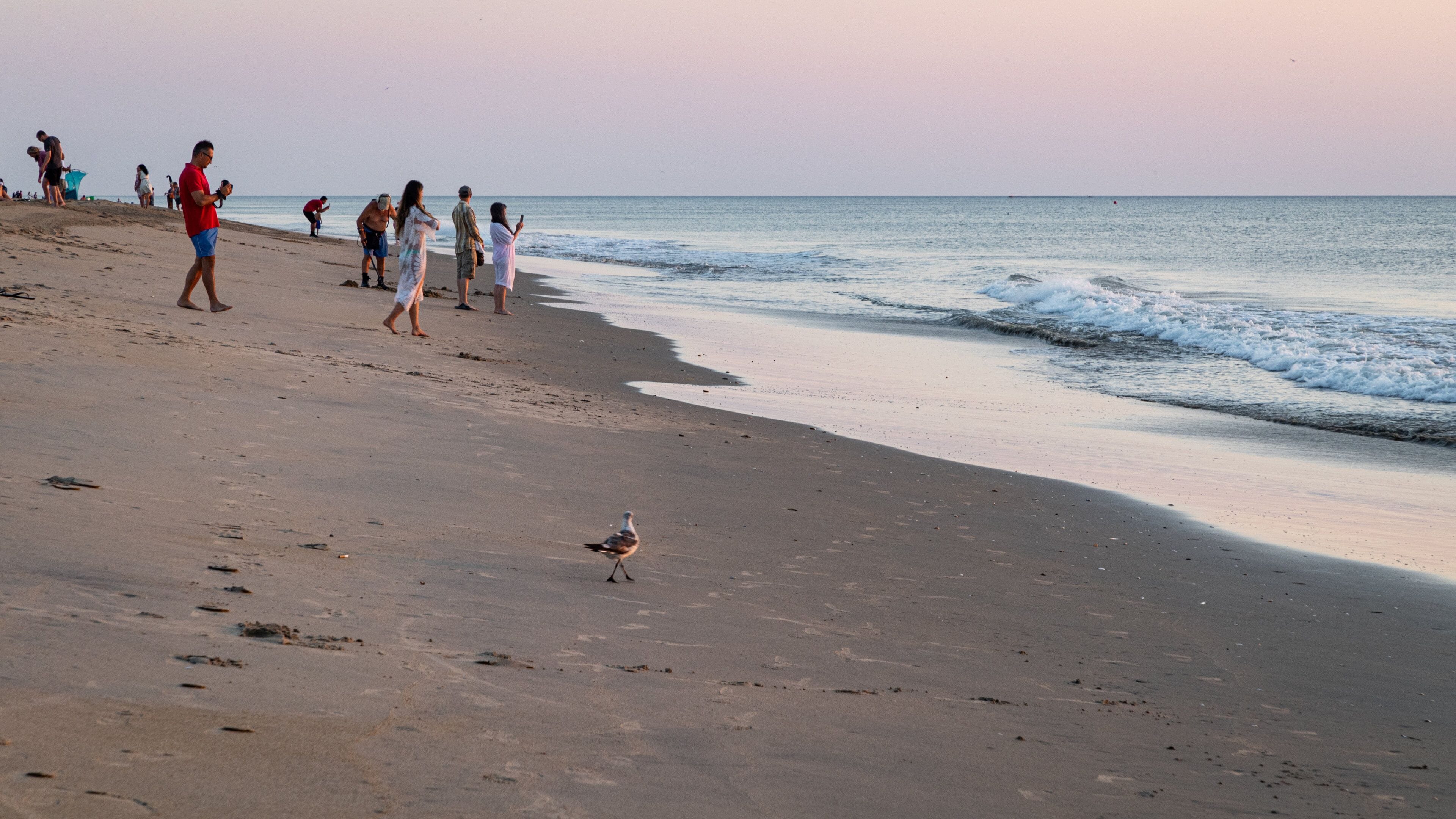 <h2>Top-rated places to stay near the beach in Virginia Beach</h2>