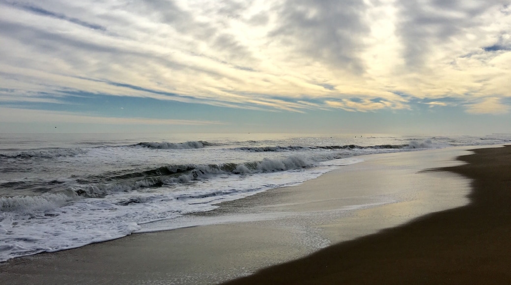 Welcome to Virginia Beach