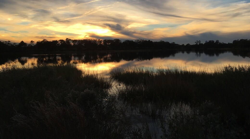 Lynnhaven river at sunset.