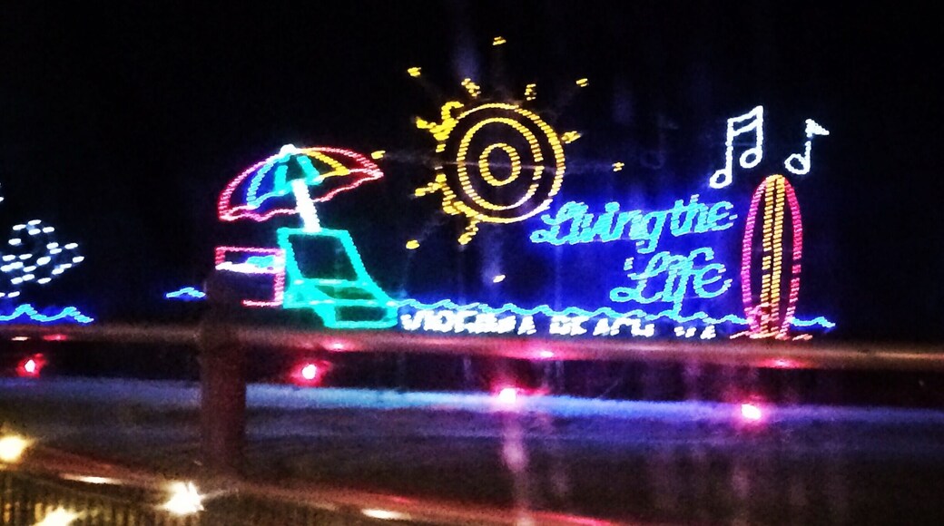 Each year VA beach will put on a light show. It's $15 per car and you can drive along the boardwalk and check out the lights for 30 blocks. It was a bucket lis item but probably best if for kiddos.