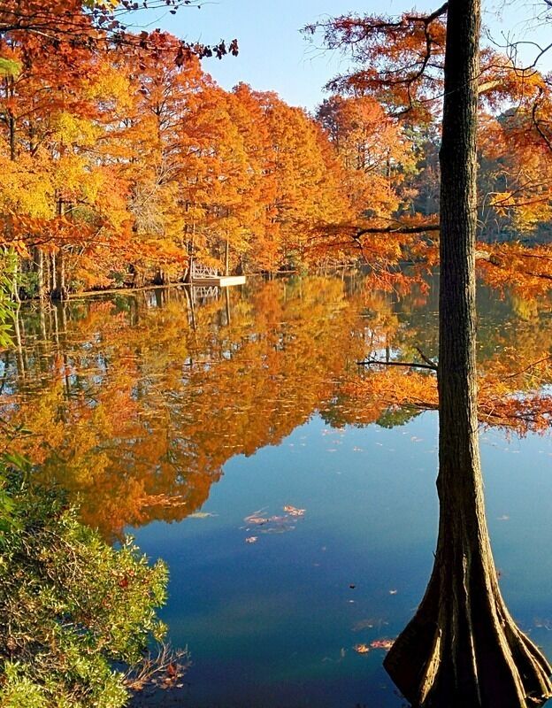 Un lago tranquillo che riflette alberi autunnali con foglie arancioni e gialle.