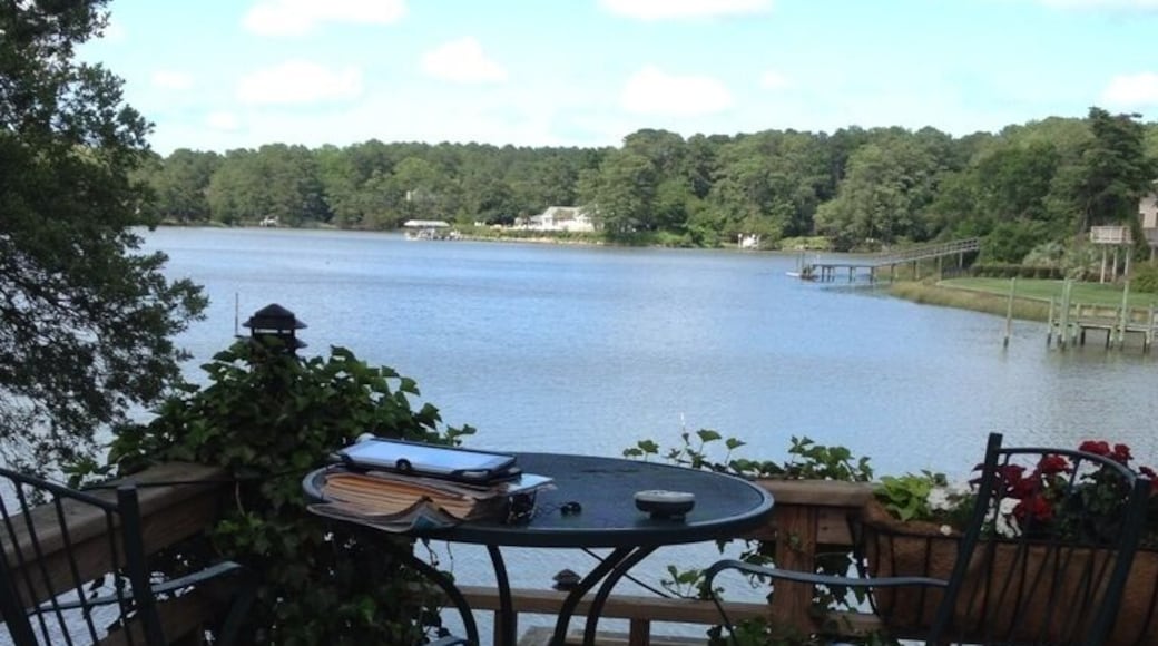 A beautiful summer view!