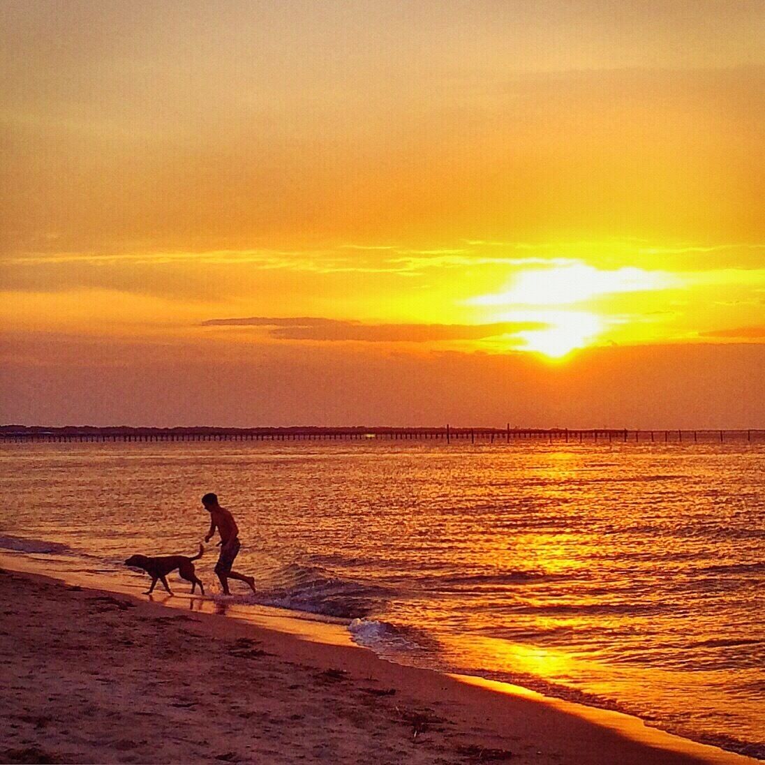 フォートストーリービーチ