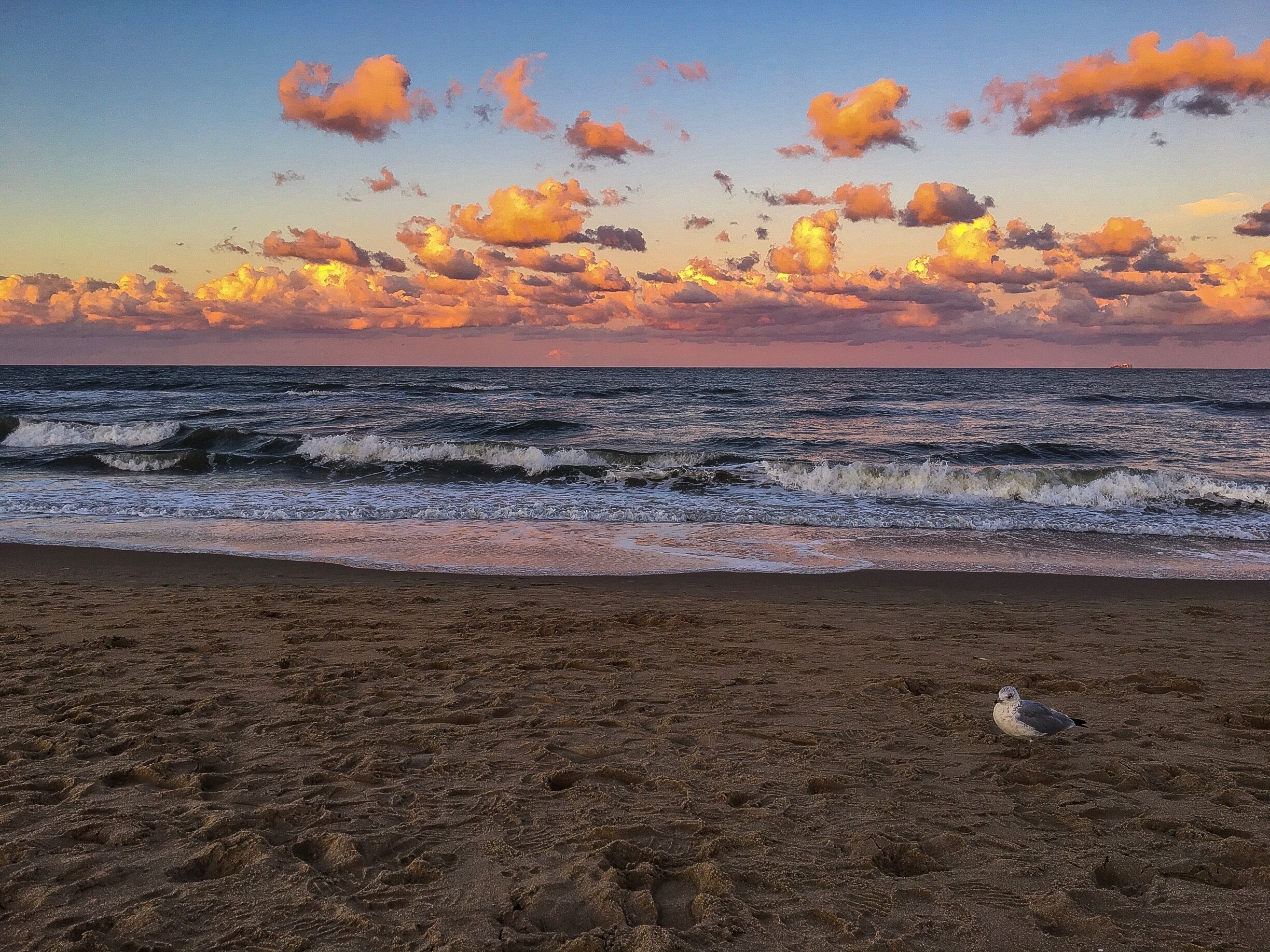  Cotton candy sunsets