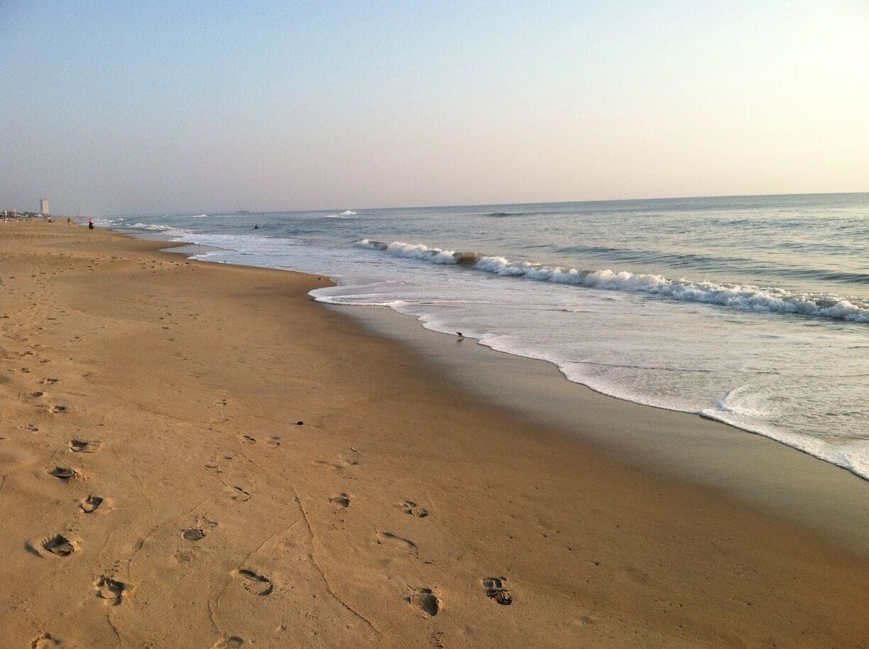 Great morning walks on the beach