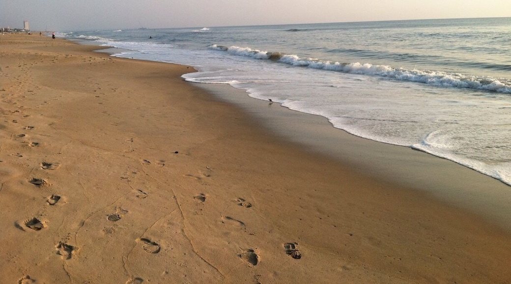 Great morning walks on the beach