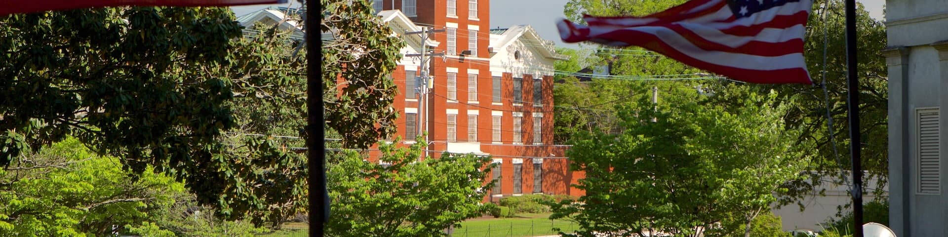 Vicksburg showing heritage architecture