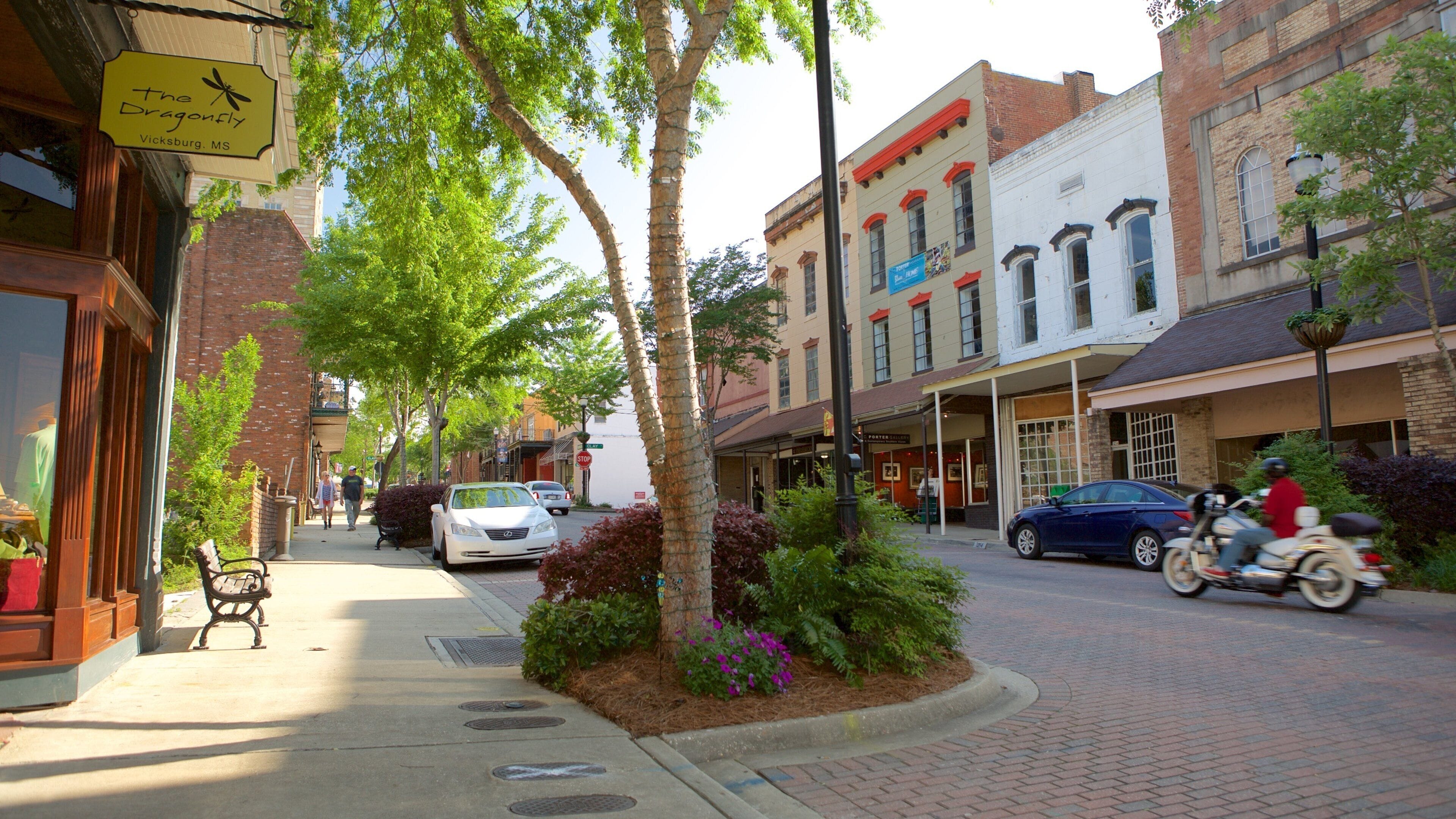 Vicksburg showing a small town or village and street scenes