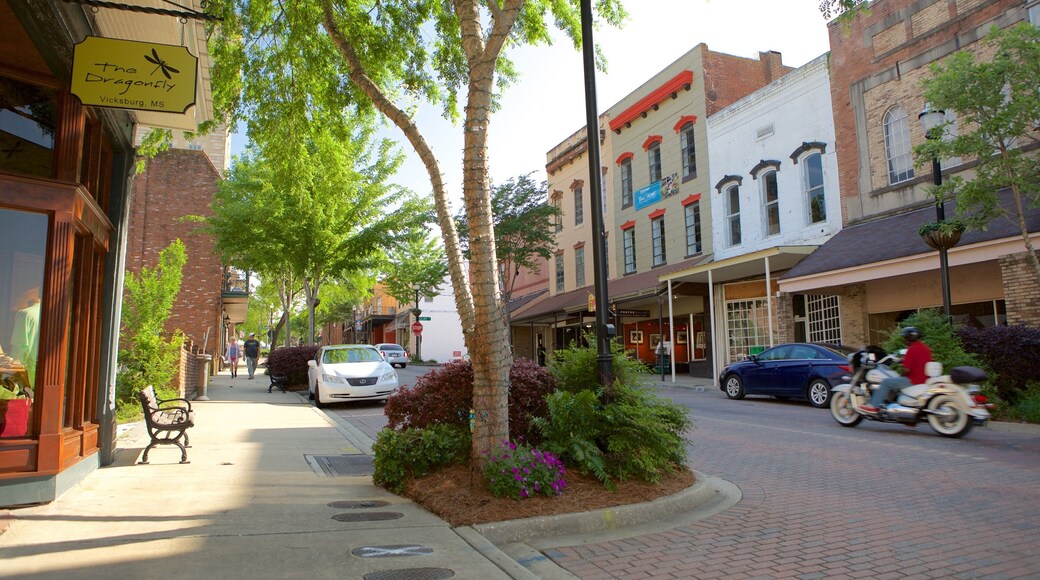 Vicksburg showing a small town or village and street scenes
