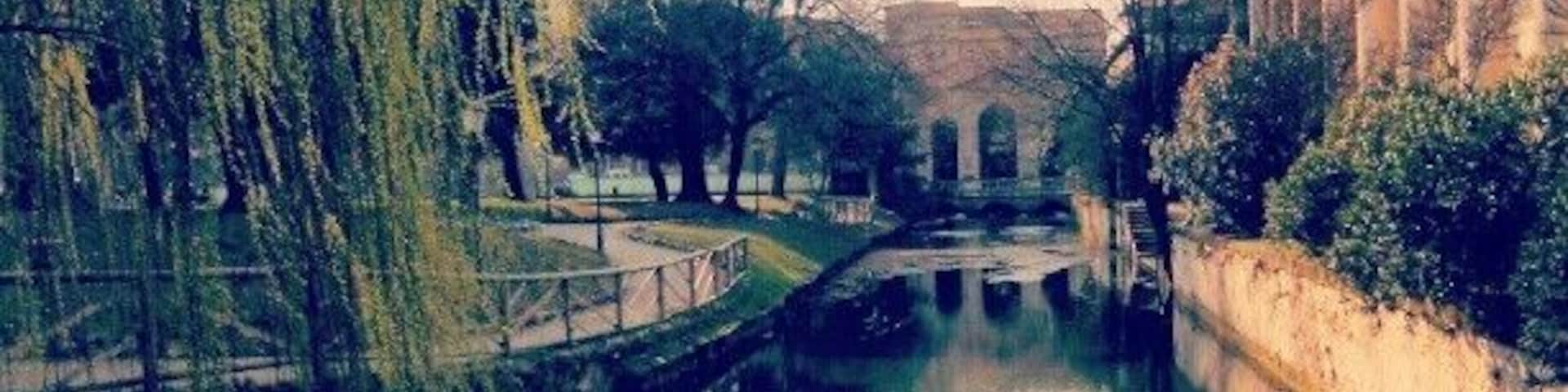 Giardini Salvi, Vicenza
Just a really nice spot in the city centre.