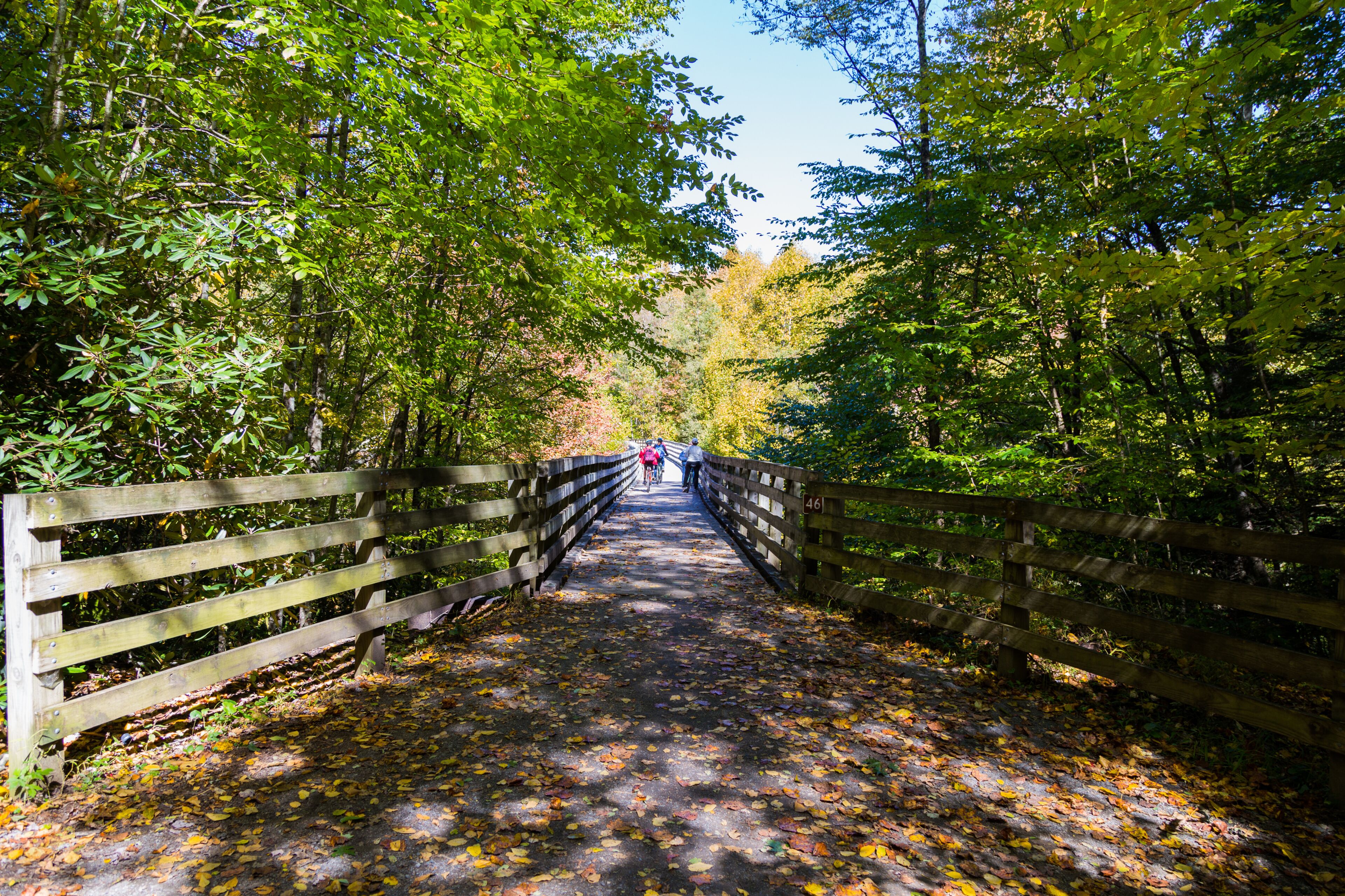 Wooden bridge in autumn forest, The Virginia Creeper National Recreation Trail, Abingdon, VA, USA