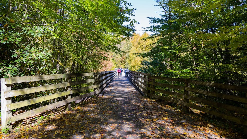 Wooden bridge in autumn forest, The Virginia Creeper National Recreation Trail, Abingdon, VA, USA