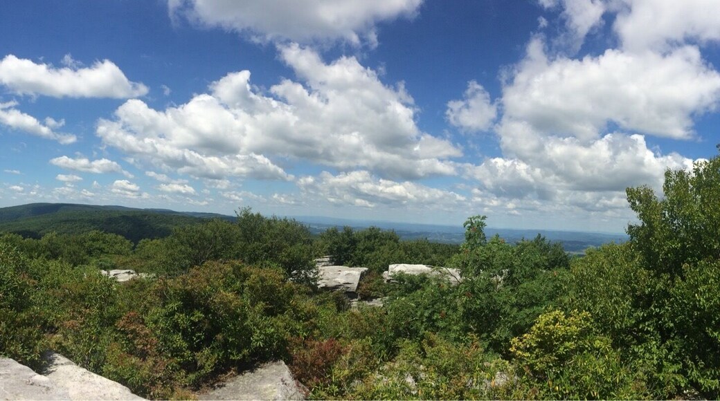 Beautiful vista from atop the Channels near Abingdon, Virginia.
http://www.everytrail.com/guide/brumley-mountain-trail-hayters-gap-to-great-channels-of-va
#WeekendGetaway #hike #greatchannels #virginia #getoutside #clouds #beautiful #mountains #roadtrip
#iphone