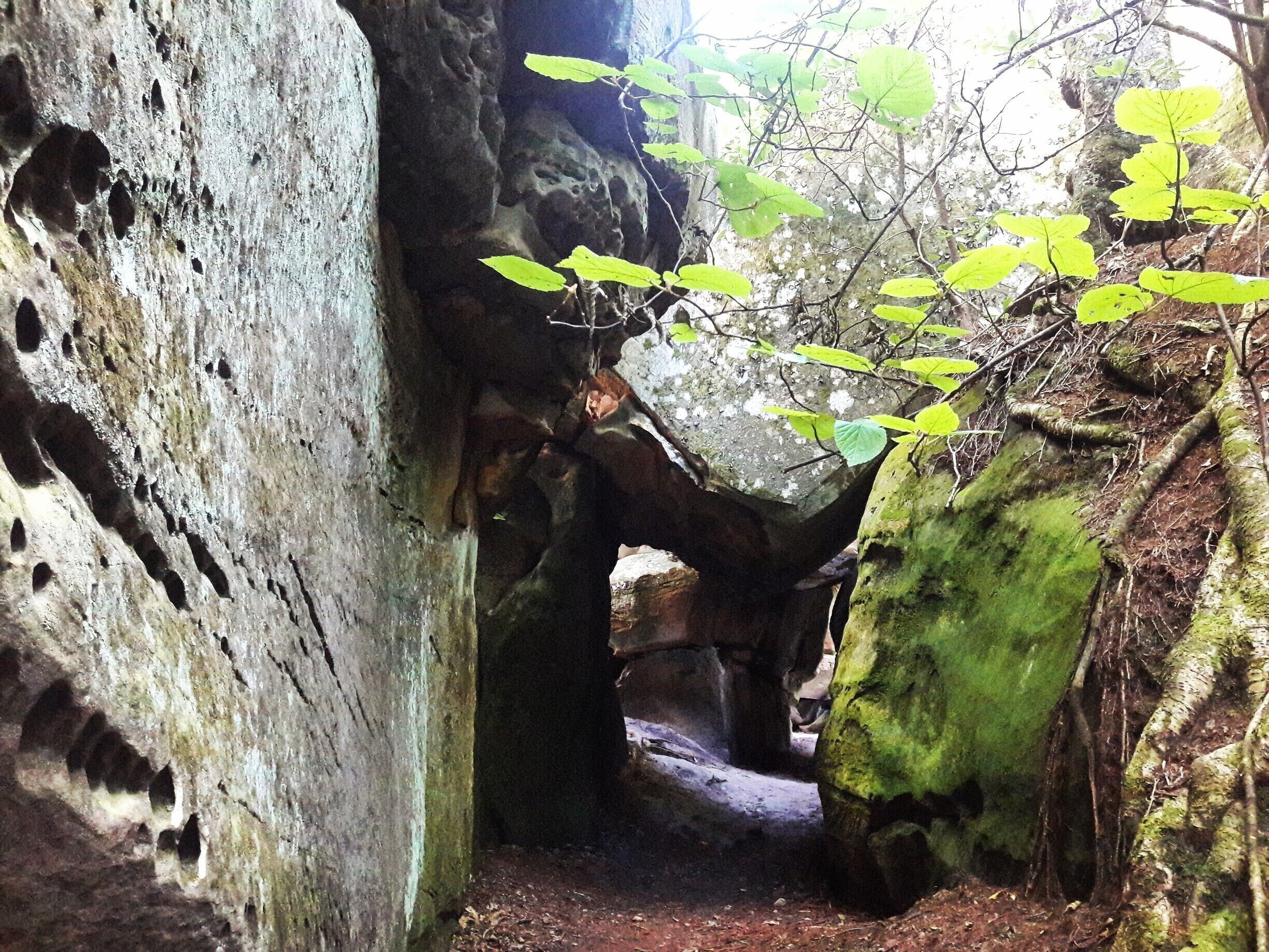 One #hike that is definitely worth it. #Green 