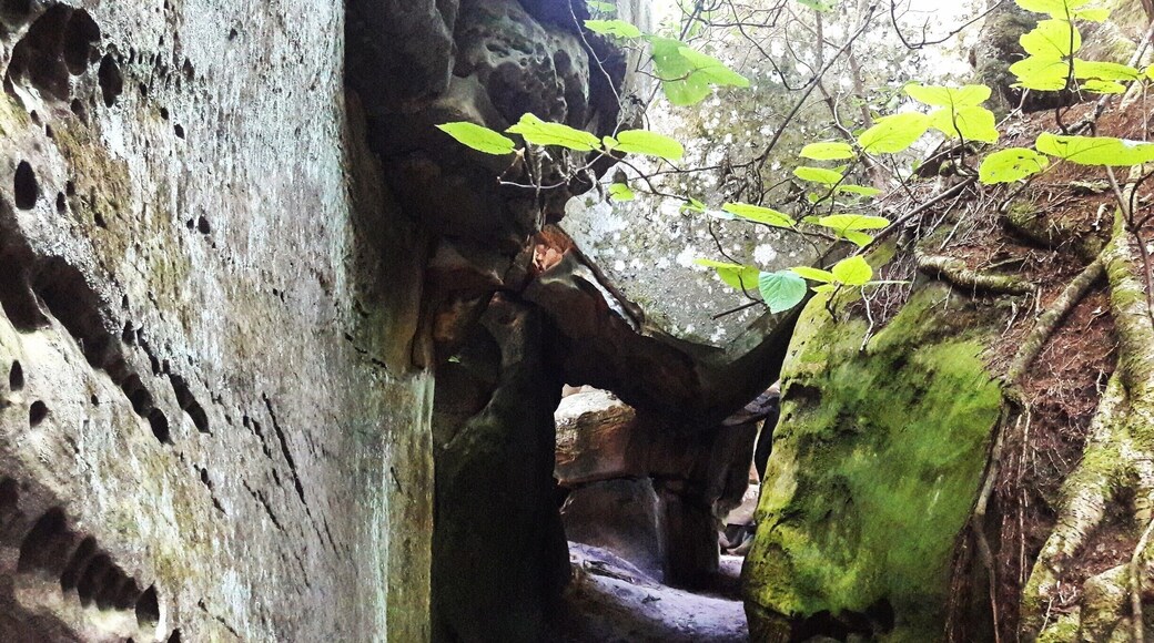 One #hike that is definitely worth it. #Green