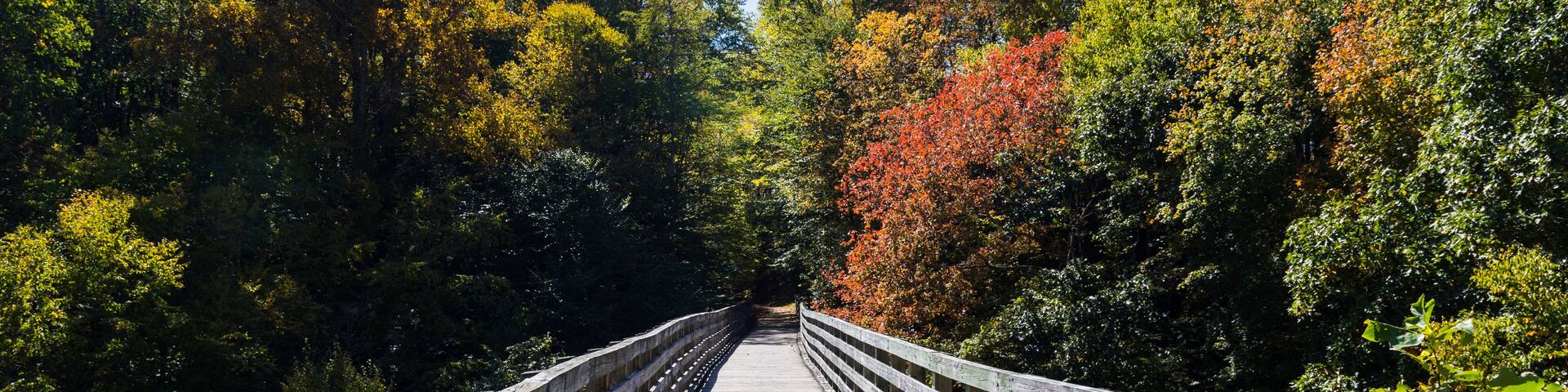 Wooden bridge in autumn forest, The Virginia Creeper National Recreation Trail, Abingdon, VA, USA