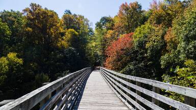 Wooden bridge in autumn forest, The Virginia Creeper National Recreation Trail, Abingdon, VA, USA